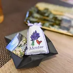 بيت الشباب داليلا موستار