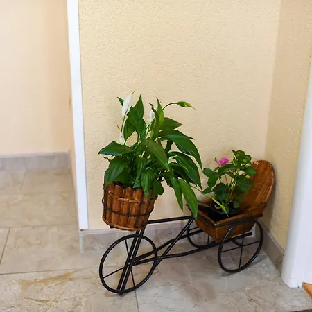 Dalila Apartment *