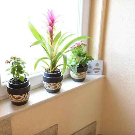 Central Stay Mostar Apartman