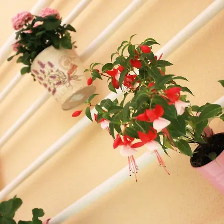 Central Stay Mostar Mostar