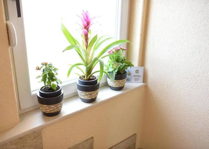 Central Stay Mostar Διαμέρισμα