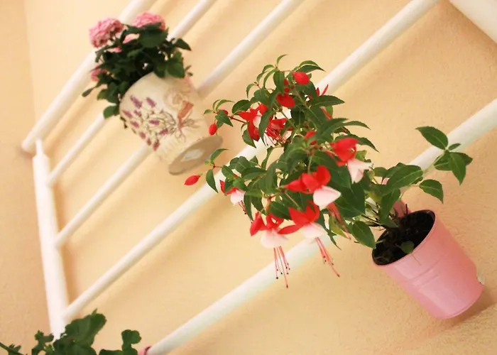 Dalila Apartman Mostar Mostar